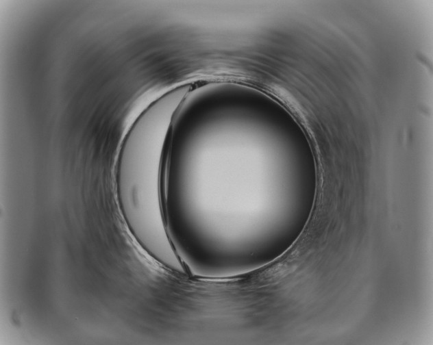 X0000094801344200711301531