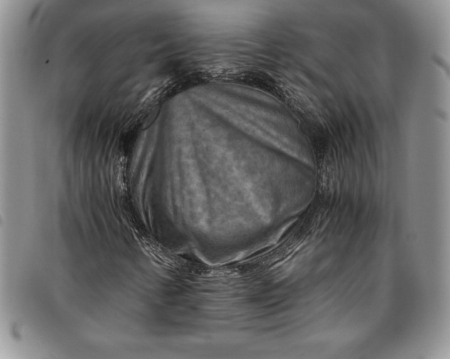 X0000094801346200711301530