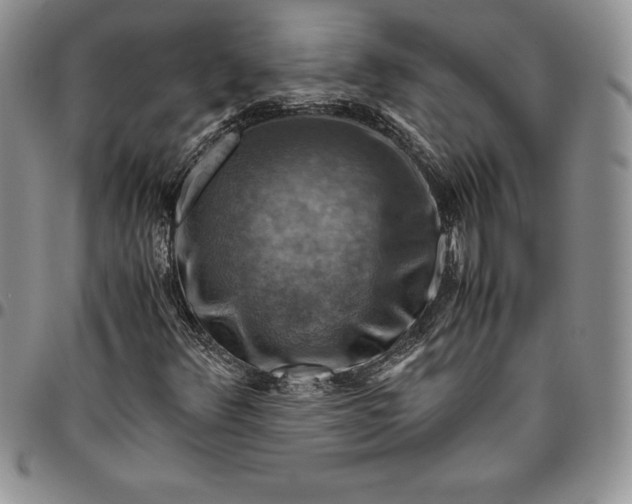 X0000094801348200711301530