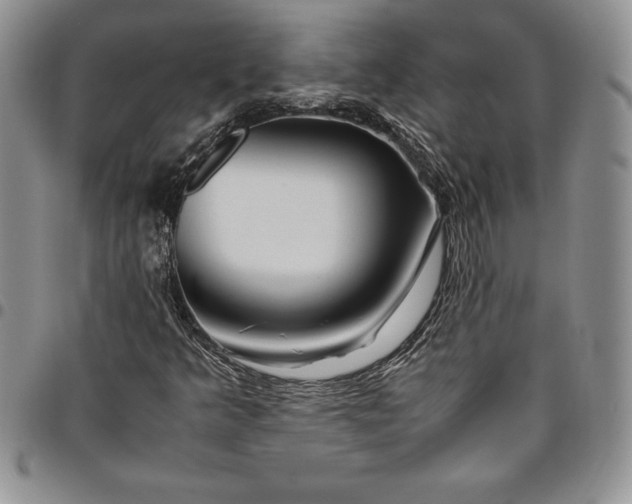 X0000094801349200711301530