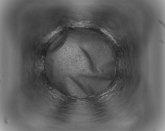 X0000094801350200711301530