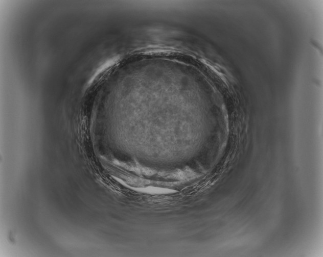 X0000094801351200711301530