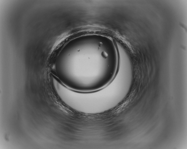 X0000094801352200711301530