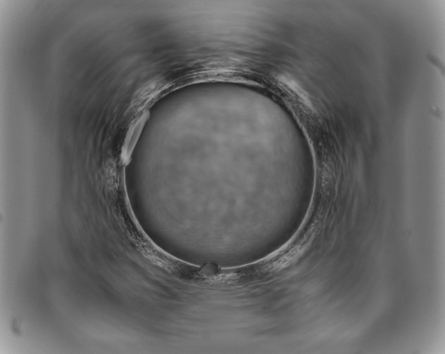 X0000094801353200711301530