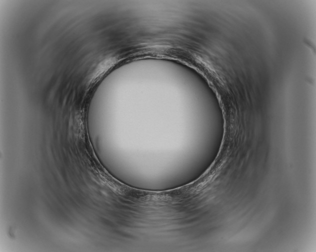 X0000094801354200711301530