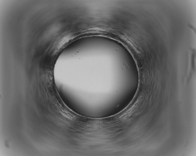 X0000094801355200711301530