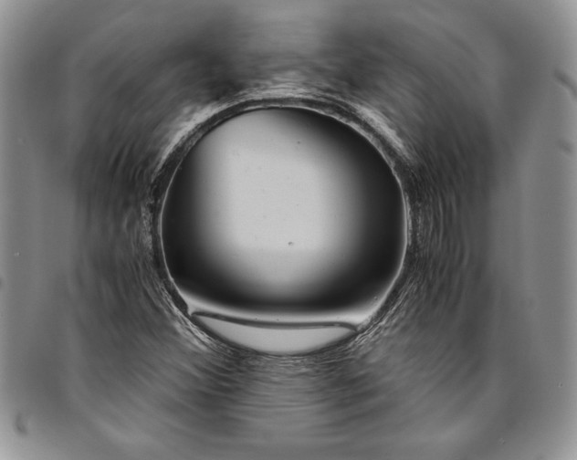 X0000094801356200711301530