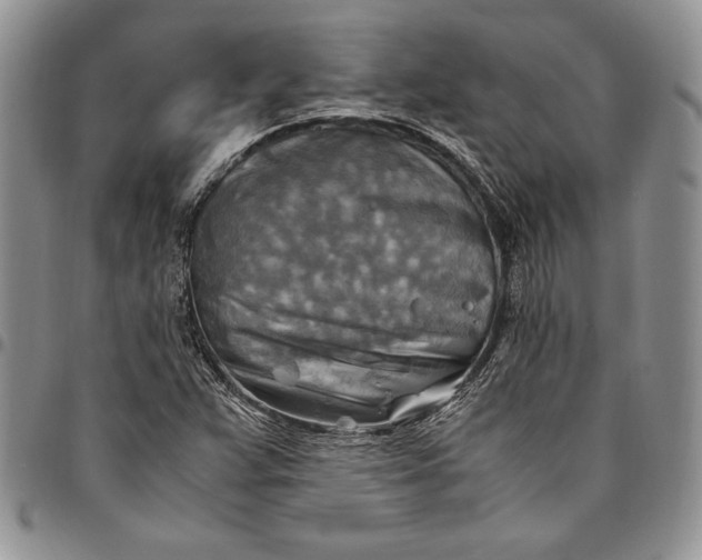 X0000094801359200711301530