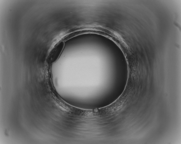 X0000094801360200711301530