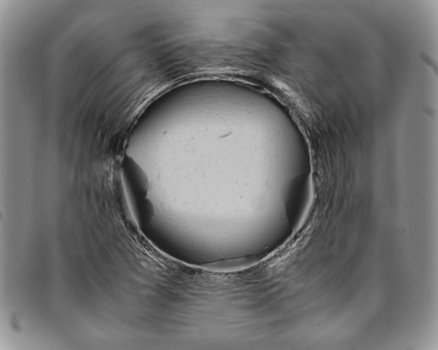 X0000094801361200711301530
