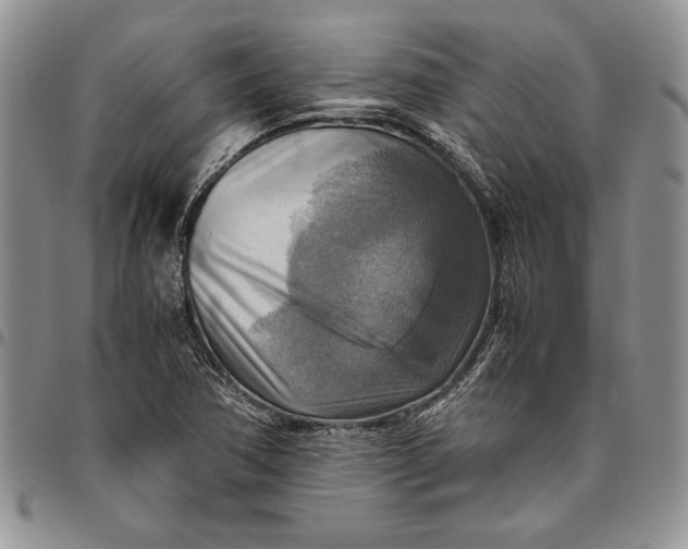 X0000094801362200711301530