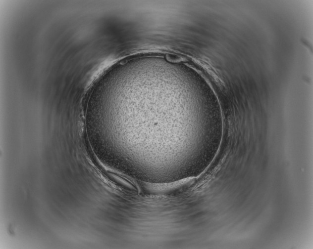 X0000094801363200711301530