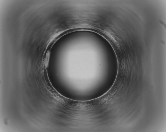X0000094801364200711301530