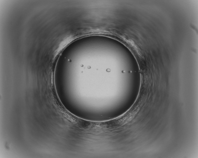 X0000094801365200711301530