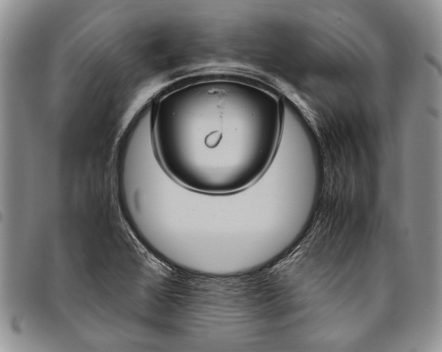X0000094801368200711301530