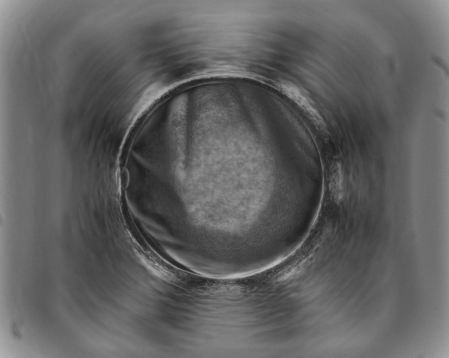 X0000094801372200711301530