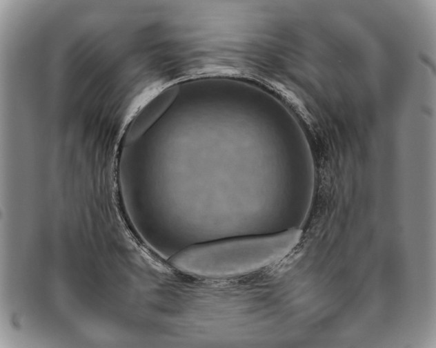 X0000094801373200711301530