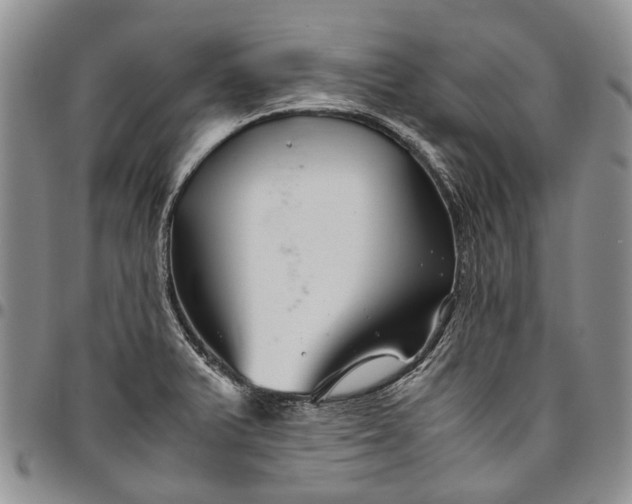 X0000094801375200711301530