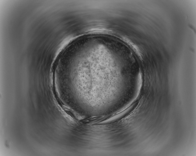 X0000094801376200711301530