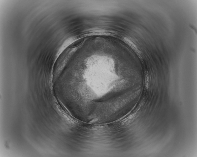 X0000094801378200711301530
