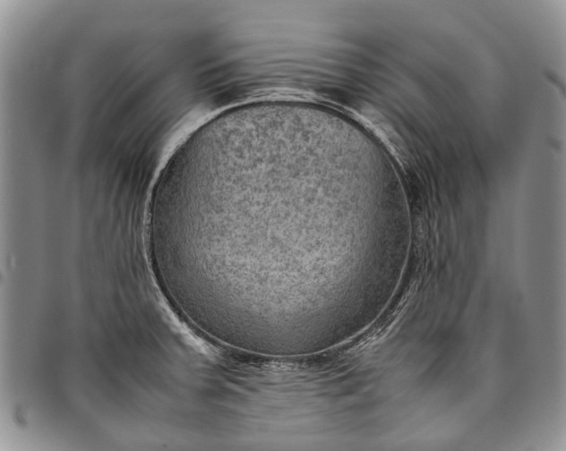 X0000094801379200711301530