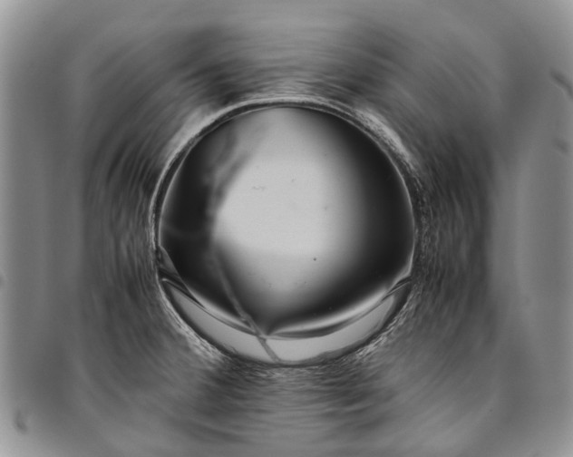 X0000094801380200711301530
