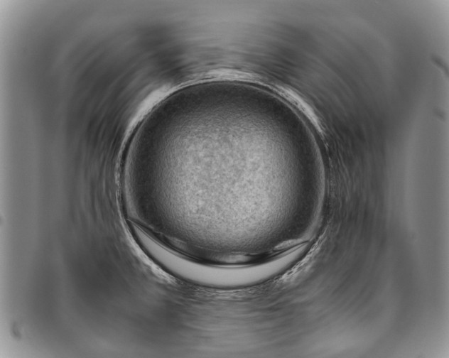 X0000094801381200711301530