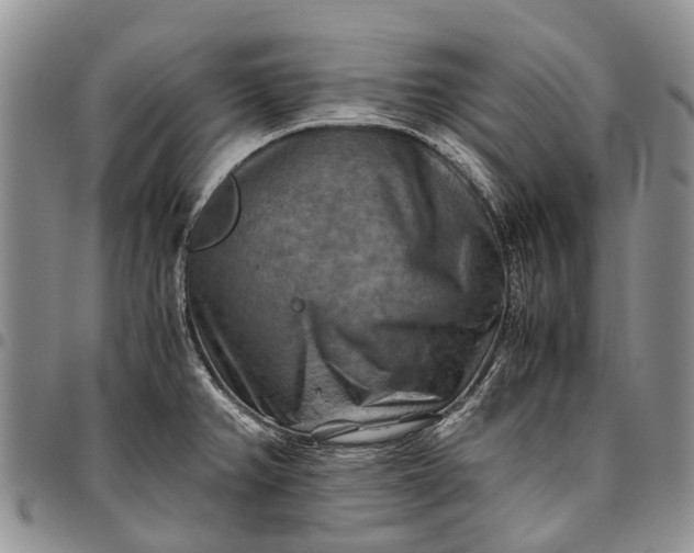 X0000094801382200711301530