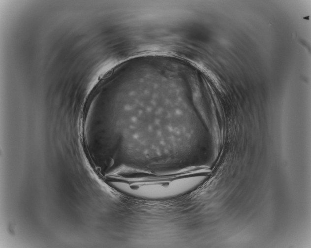 X0000094801383200711301530