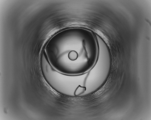 X0000094801384200711301530