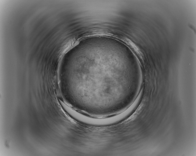 X0000094801385200711301530