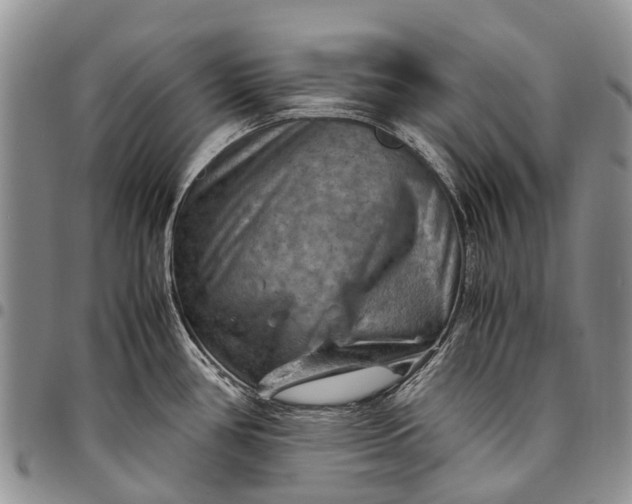 X0000094801386200711301530