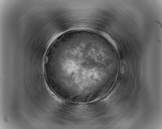 X0000094801388200711301530