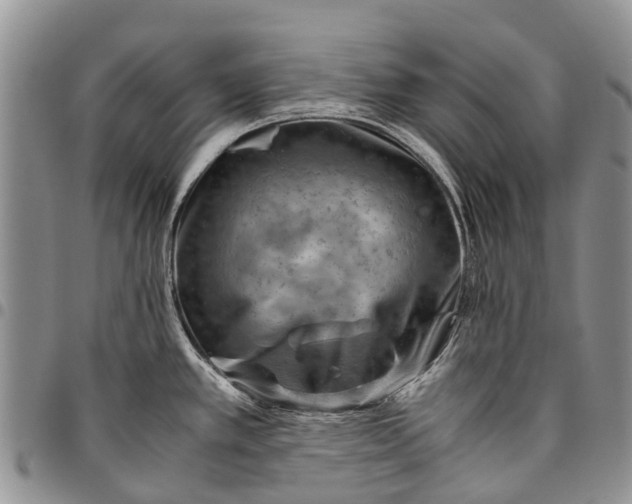 X0000094801389200711301530