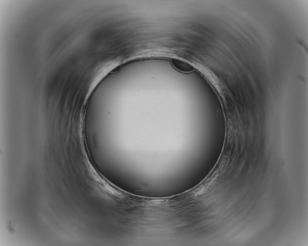 X0000094801390200711301530