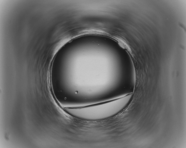 X0000094801391200711301530