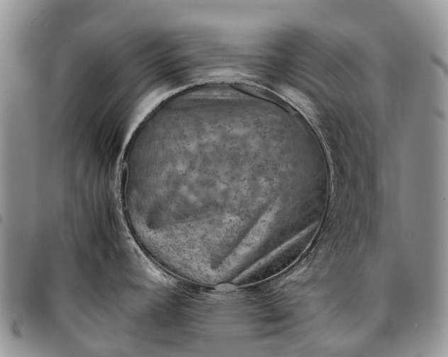X0000094801392200711301530