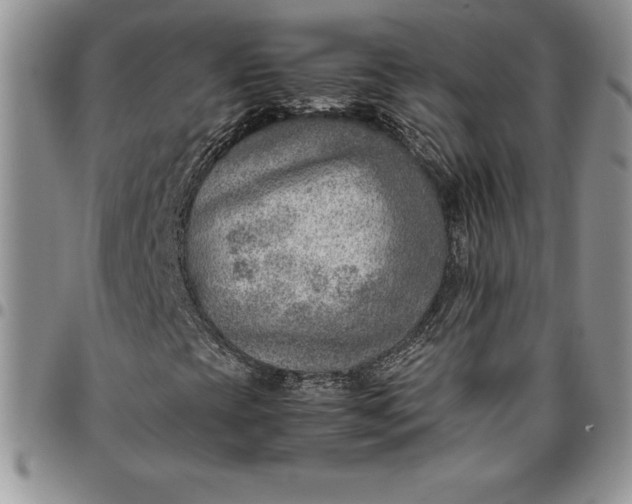 X0000094801393200711301529
