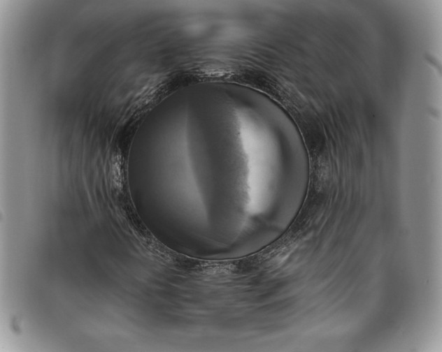 X0000094801394200711301529
