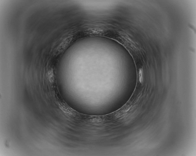 X0000094801395200711301529