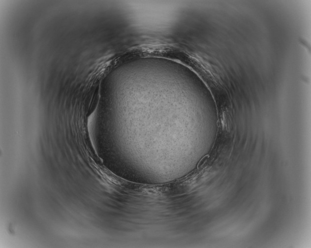 X0000094801396200711301529