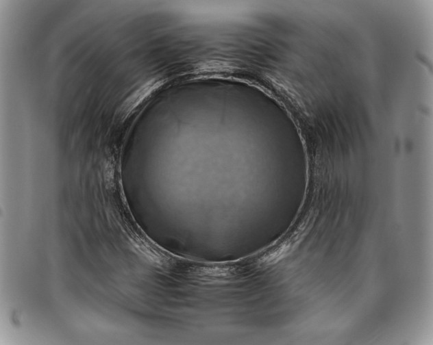X0000094801401200711301529