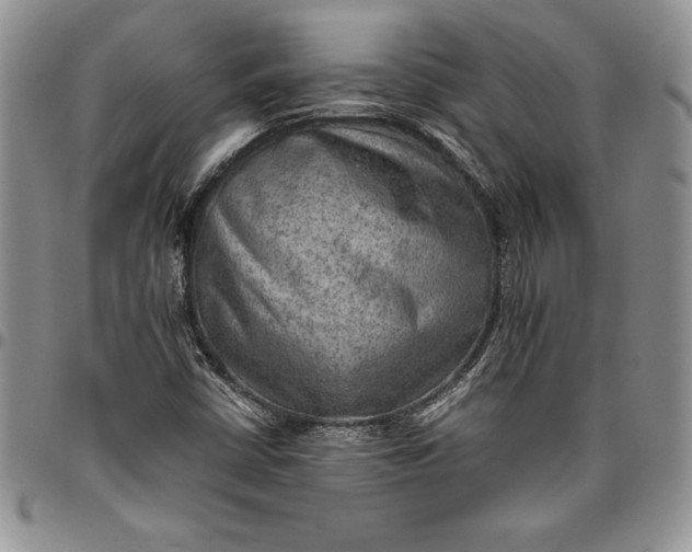 X0000094801402200711301529