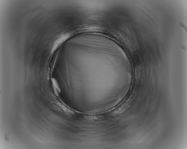 X0000094801405200711301529