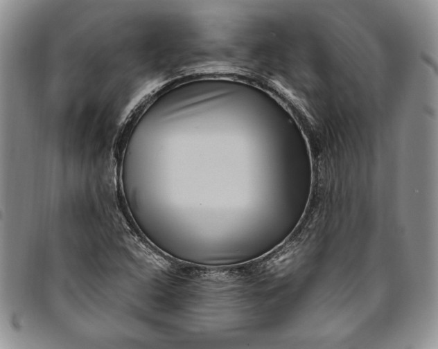 X0000094801408200711301529