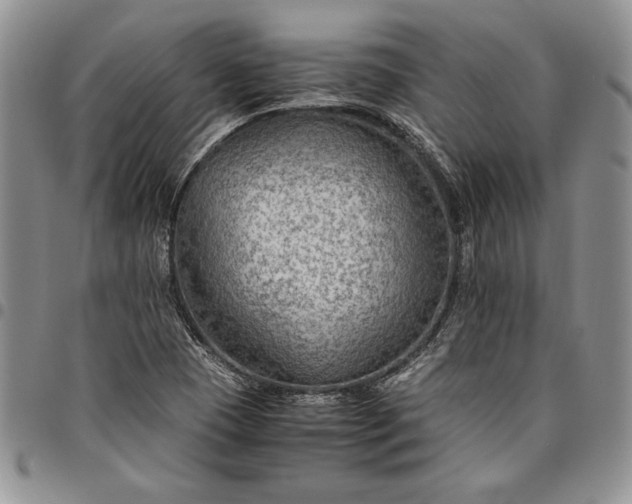 X0000094801409200711301529