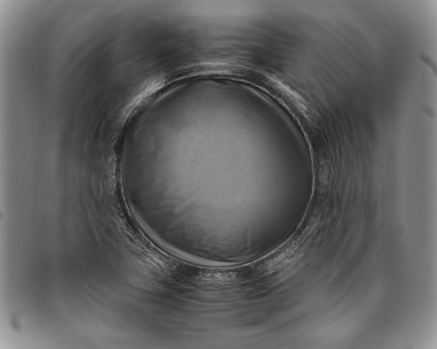 X0000094801411200711301529