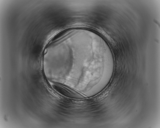 X0000094801413200711301529