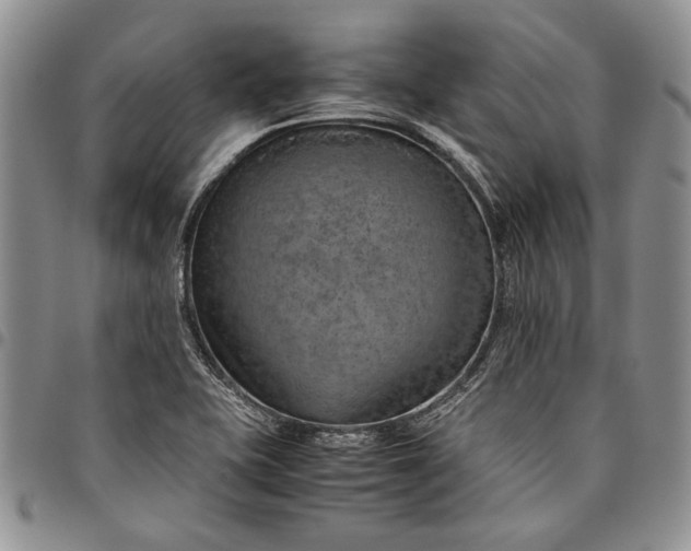X0000094801415200711301529