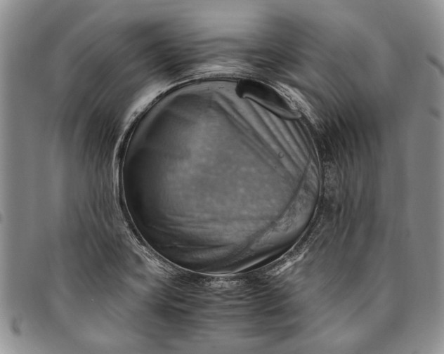 X0000094801419200711301529